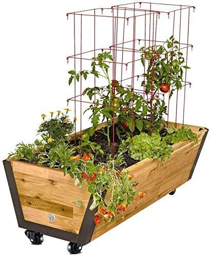 GBL | 50mm Castor Wheels + Screws | 200KG | 4 Heavy Duty Furniture Wheels | Table Planter Castors